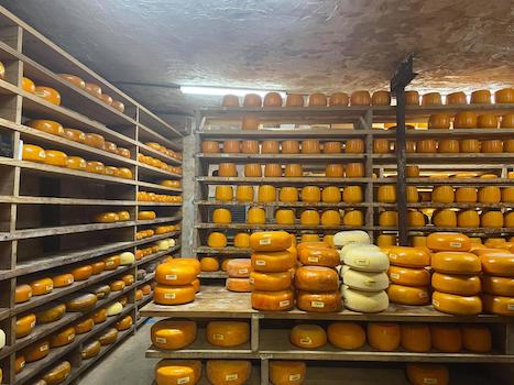 Cheese, oh cheese, how do they make thee?