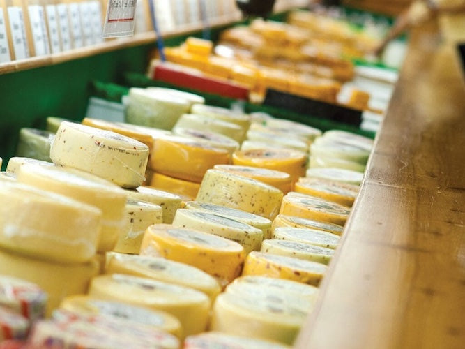 The Age-Old Tradition of Amish Cheese-Making