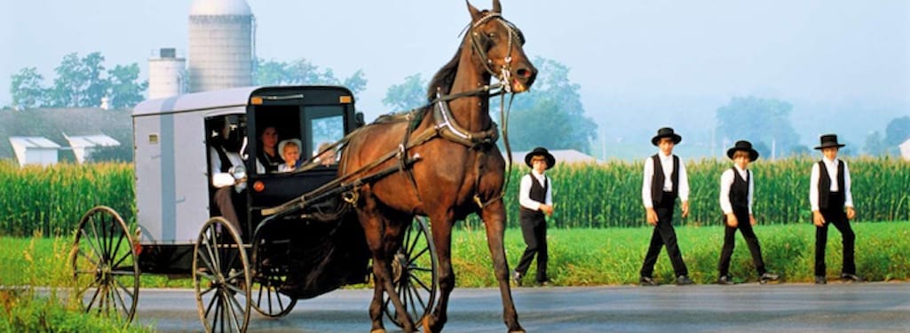 Exploring the fascinating world of the Amish: faith, family, and cheese-making