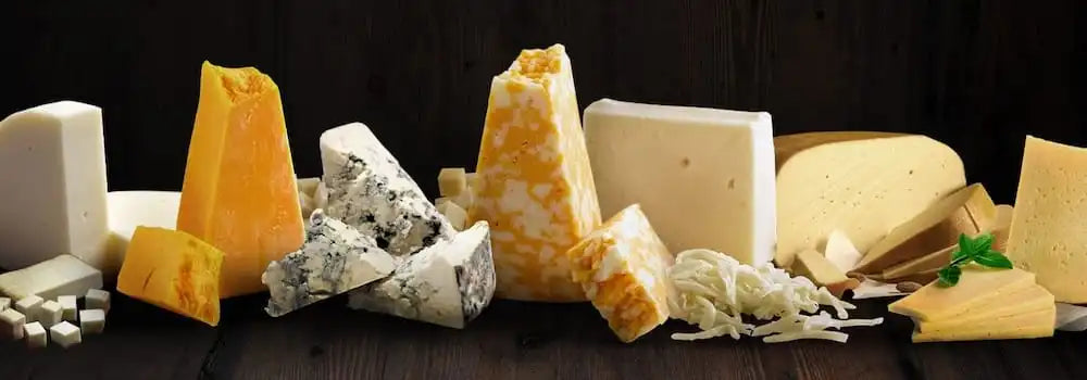 The Art of Amish Cheese-Making at Middlefield Original Cheese Co-op