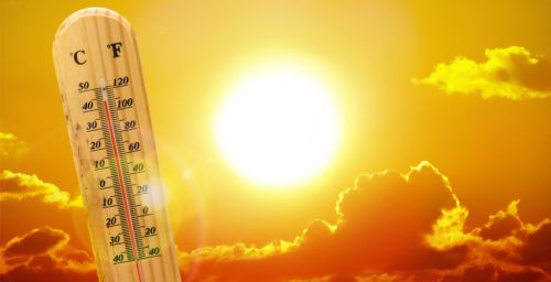 Keeping Your Cheese Cool: Our Summer Shipping Policy